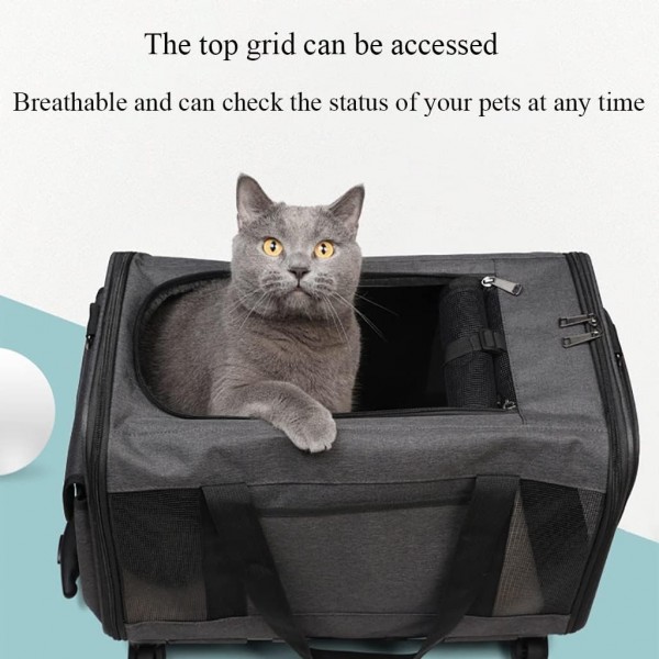 Pet Travel Bag With Portable Trolley And Detachable Universal Wheels   8669841229(10) 600x600 